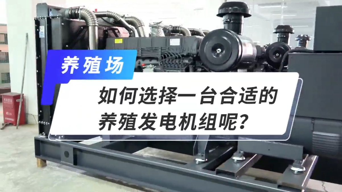 「視頻」如何選擇一臺合適的養(yǎng)殖發(fā)電機(jī)組呢？